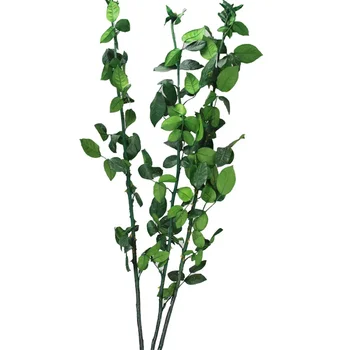 5шт Натуральная консервированная ветвь, стебель розы 50 см для прививки цветов, украшение свадебного дома разной длины 1