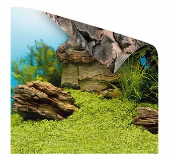 JUWEL 1 шт. фоновая живопись для аквариума двухсторонний фоновый плакат для аквариума украшение стены аквариума силиконовое масло 0