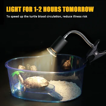 Вращающаяся Световая Подставка Для Домашних Животных-Рептилий E27 360 ℃ Европейский Регулируемый Шнур Питания Светодиодный Держатель Лампы UVA Hot Clamp Turtle Backlight 3