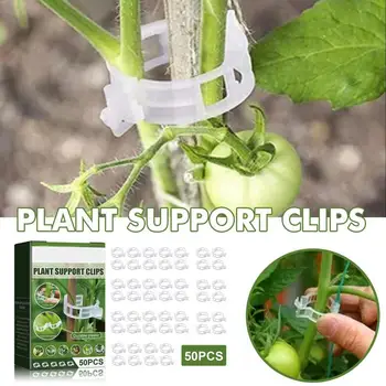 Зажим для поддержки растений 50 штук садовых зажимов Подставки для растений для шпалеры Многоразовые зажимы для белых помидоров Для вертикального выращивания 1