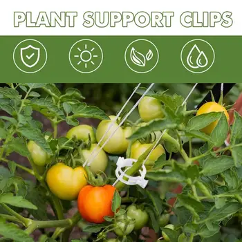 Зажим для поддержки растений 50 штук садовых зажимов Подставки для растений для шпалеры Многоразовые зажимы для белых помидоров Для вертикального выращивания 2