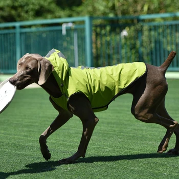 Куртка для собак со светоотражающими полосками, полосы повышенной видимости для безопасности собаки, стильный и сухой размер 1