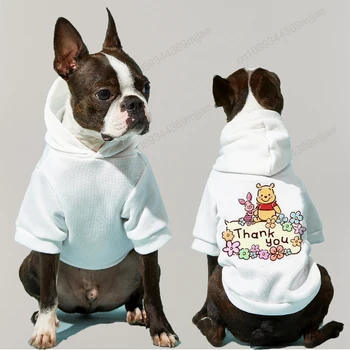 Новый стиль Одежды для собак с капюшоном, пуловер с капюшоном для собак, одежда для кошек, одежда для щенков, Мопс, Зима 2023, маленький костюм 2