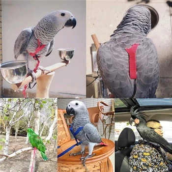 Поводок для птиц-попугаев, Уличные Летающие Тяговые ремни, Регулируемая Тренировочная веревка для защиты от укусов 2