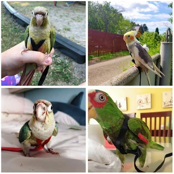 Поводок для птиц-попугаев, Уличные Летающие Тяговые ремни, Регулируемая Тренировочная веревка для защиты от укусов 3