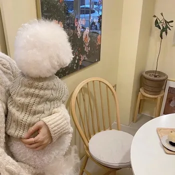 Свитер для плюшевой собачки, однотонный свитер для щенка, осенне-зимний пуловер для кошки, теплая одежда для домашних животных, одежда для медведя с двумя ножками 0